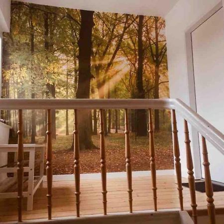 Fewo Waldblick Meschede Luaran gambar